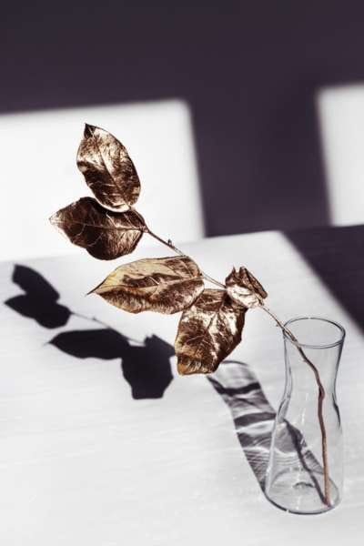 Inmobiliaria 1 Tu casa es única en rexval inmobiliaria